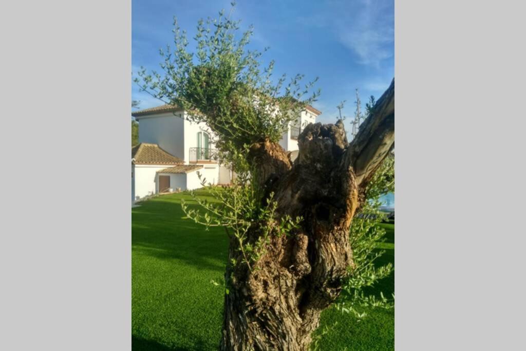 Villa exclusiva con piscina privada, La Tina Golf Arcos de la Frontera Esterno foto